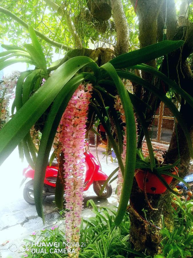 Tamcoc Mr. Cau Homestay ニンビン エクステリア 写真